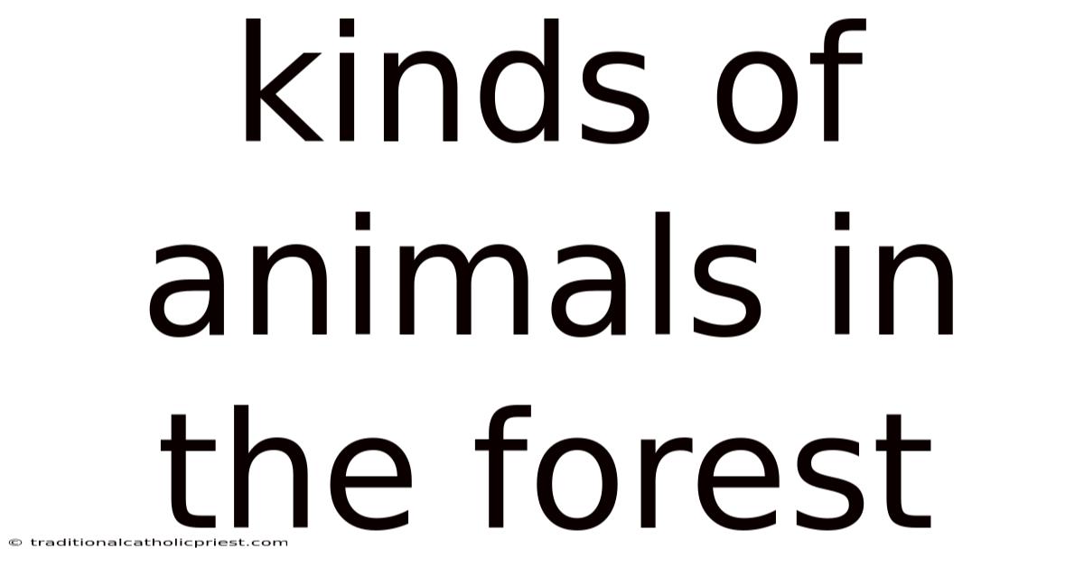 Kinds Of Animals In The Forest