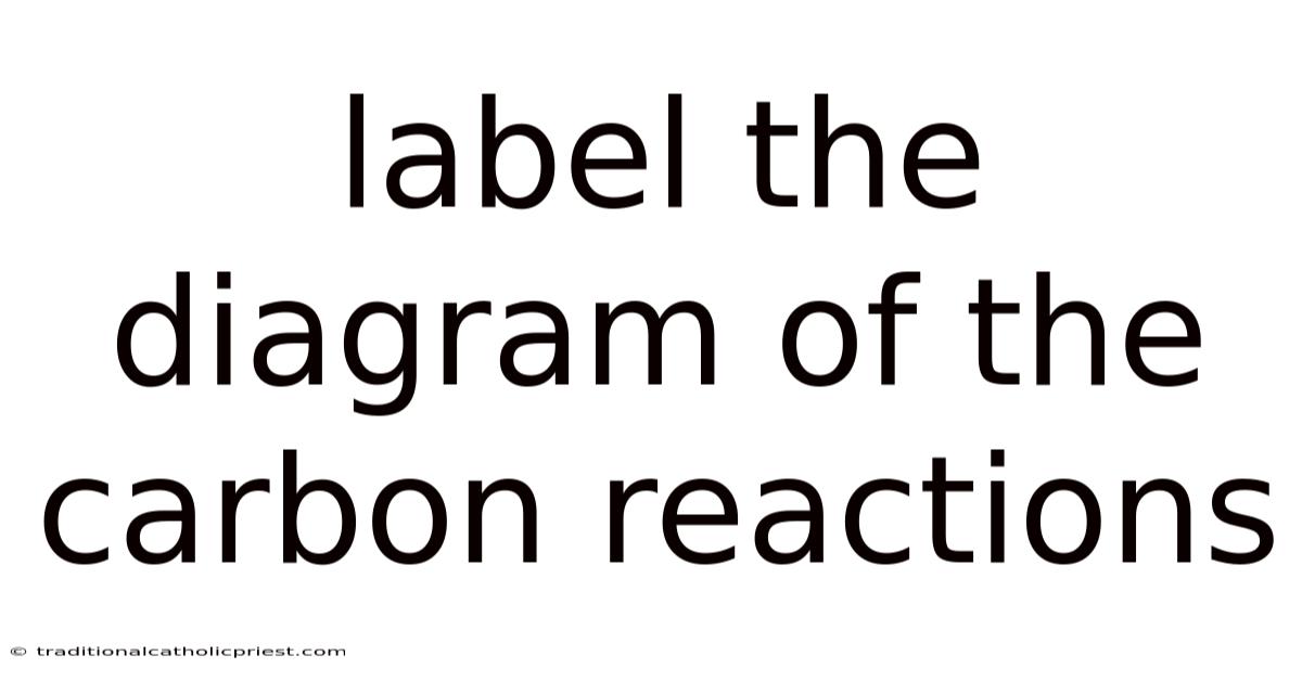 Label The Diagram Of The Carbon Reactions