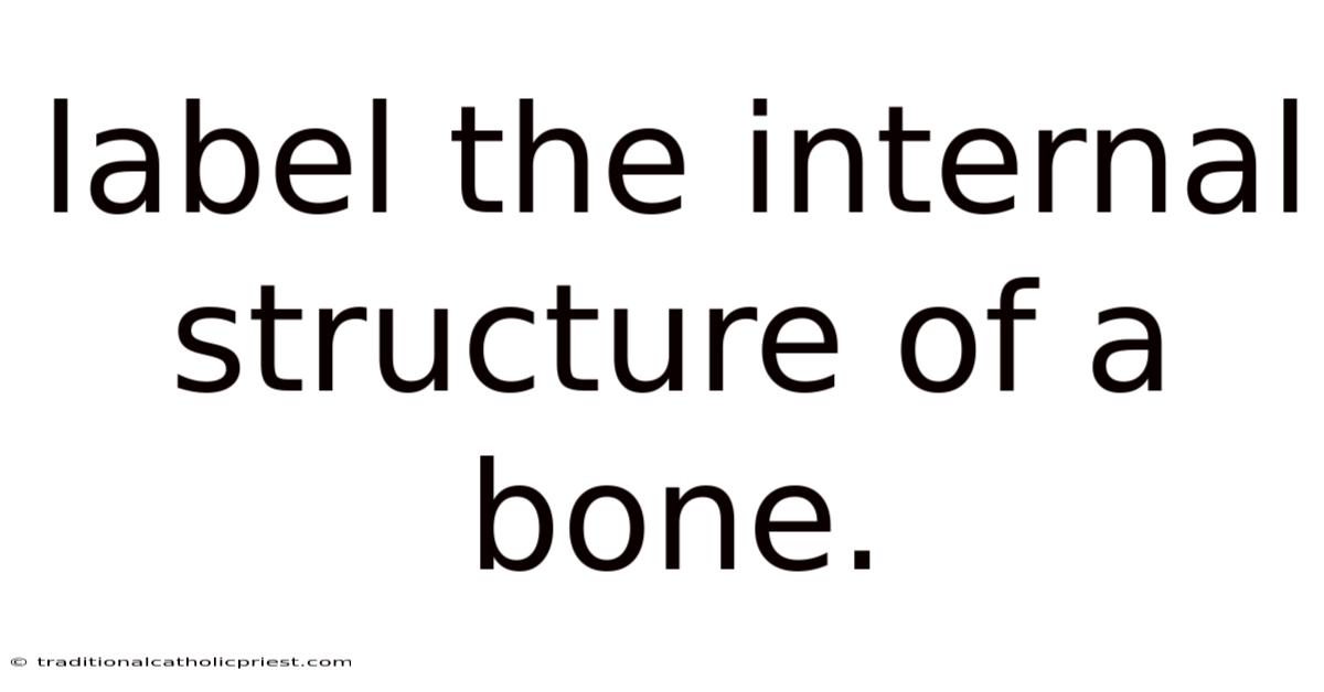 Label The Internal Structure Of A Bone.