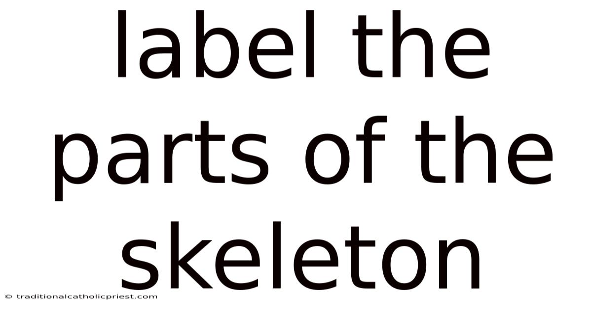 Label The Parts Of The Skeleton