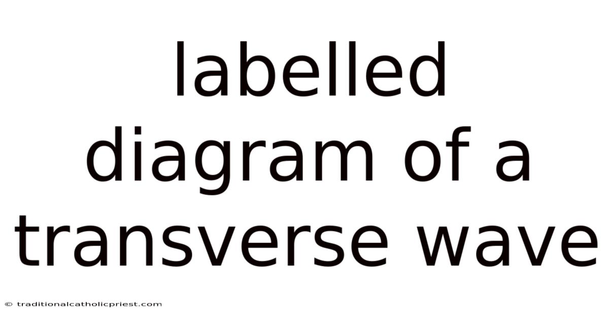 Labelled Diagram Of A Transverse Wave