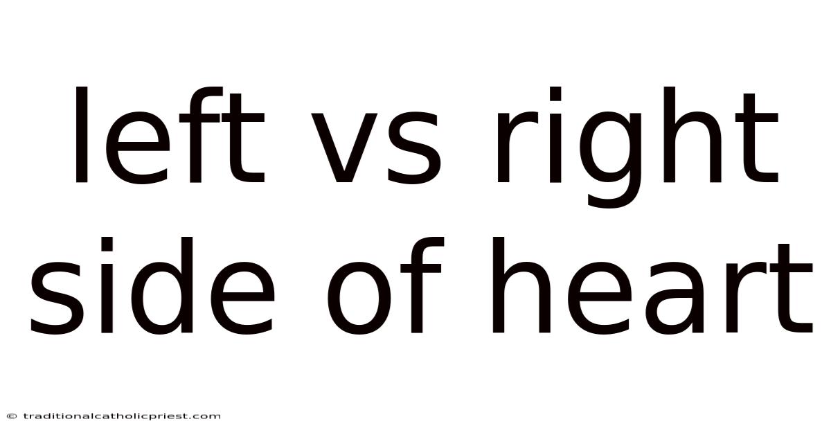 Left Vs Right Side Of Heart
