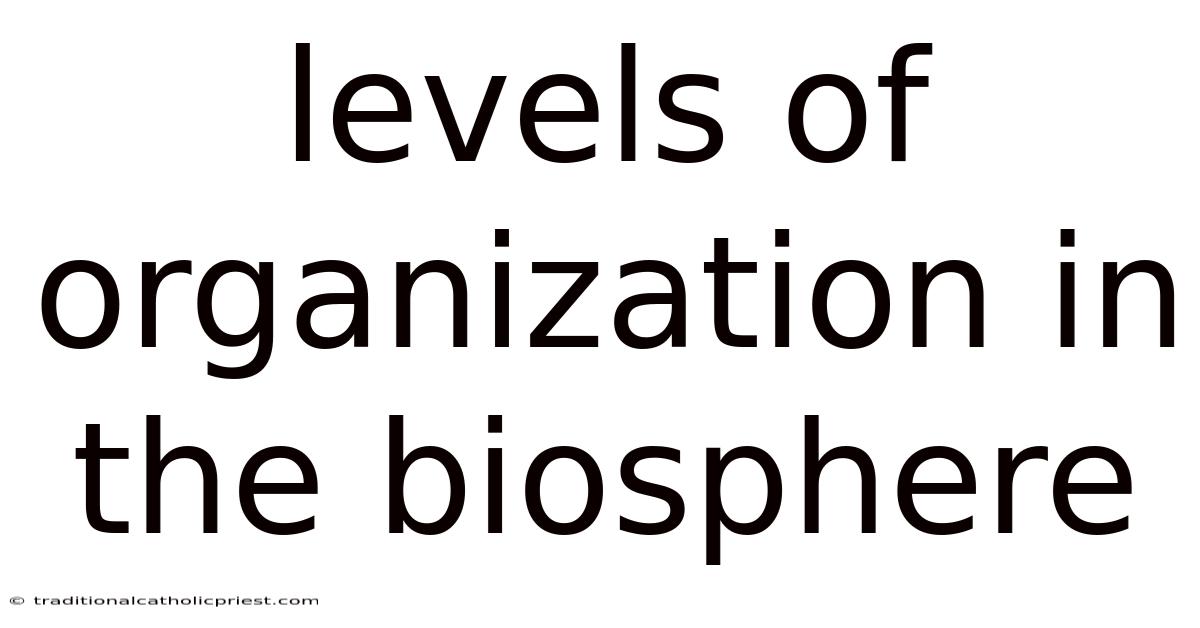 Levels Of Organization In The Biosphere