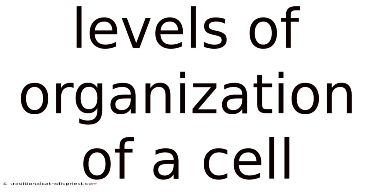 Levels Of Organization Of A Cell