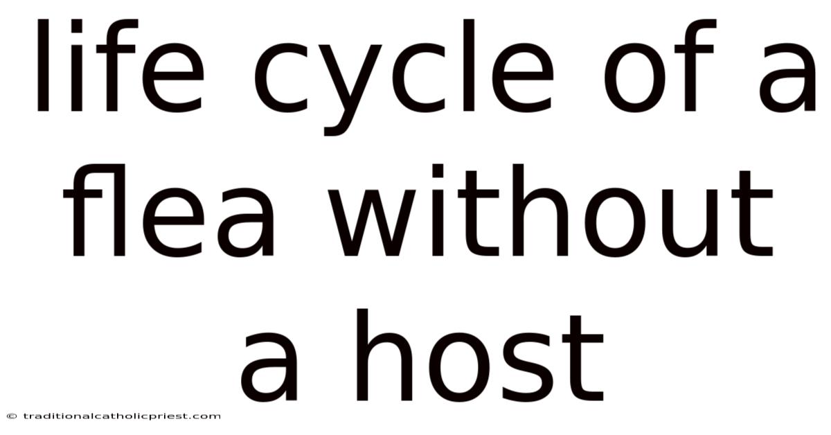 Life Cycle Of A Flea Without A Host
