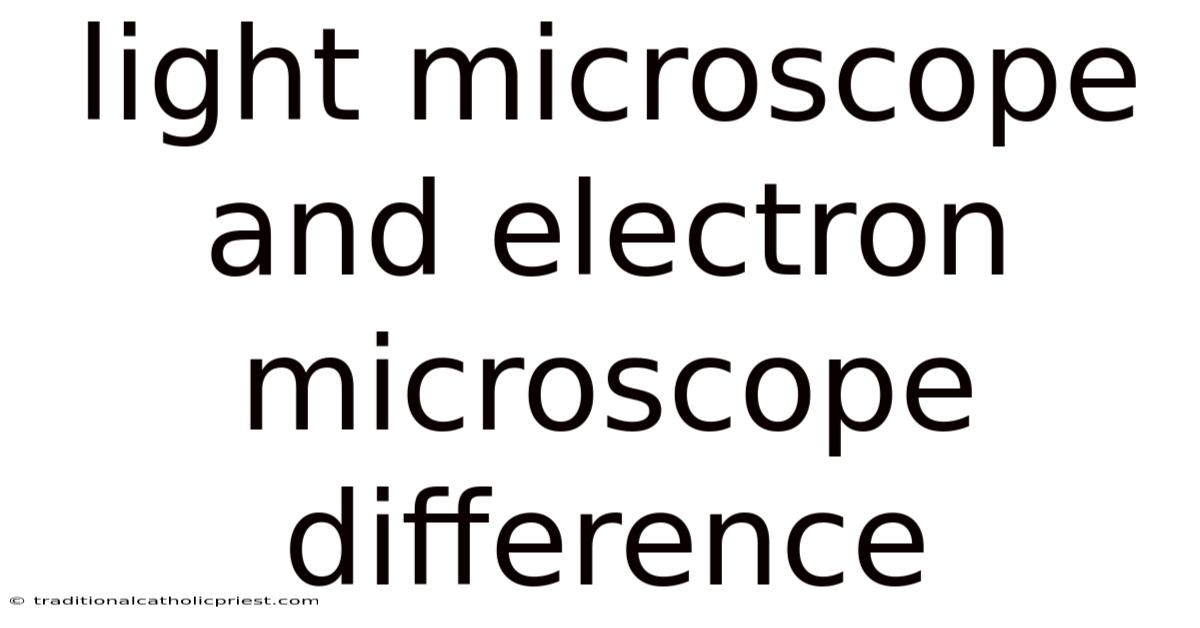 Light Microscope And Electron Microscope Difference