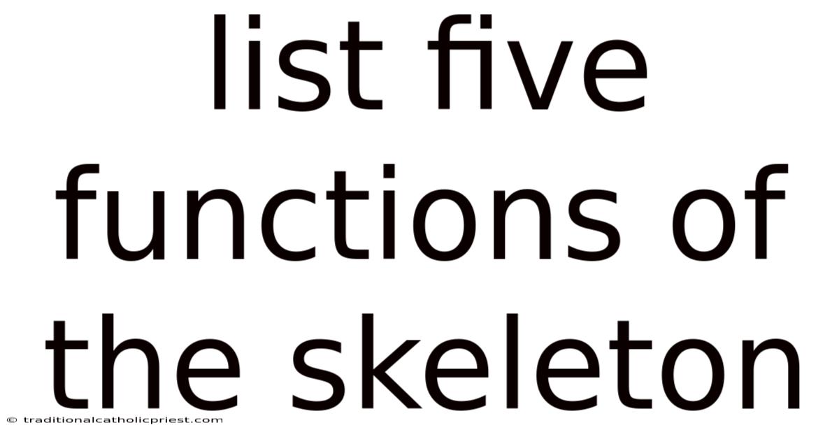 List Five Functions Of The Skeleton
