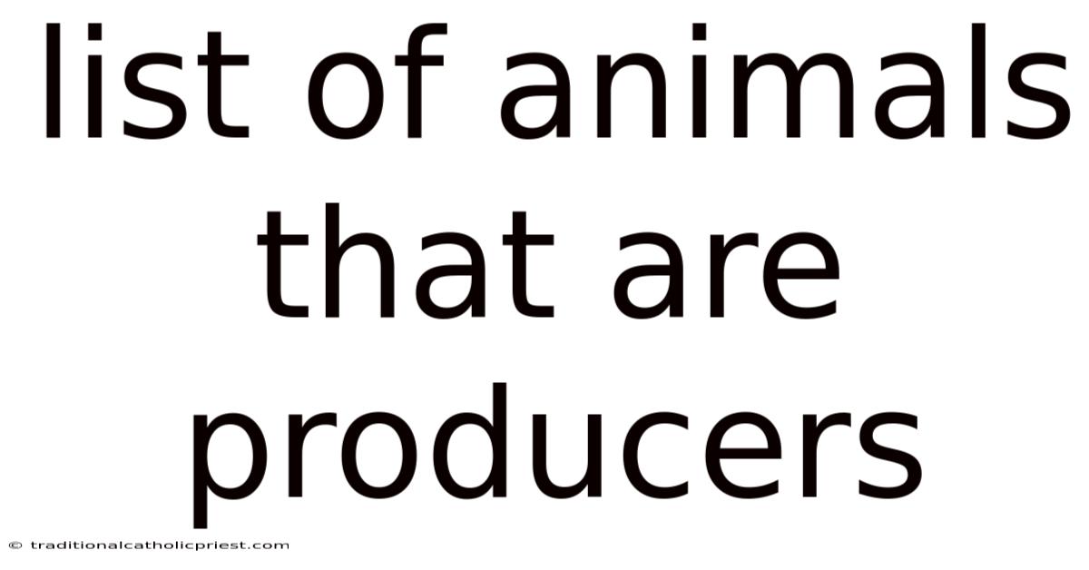 List Of Animals That Are Producers