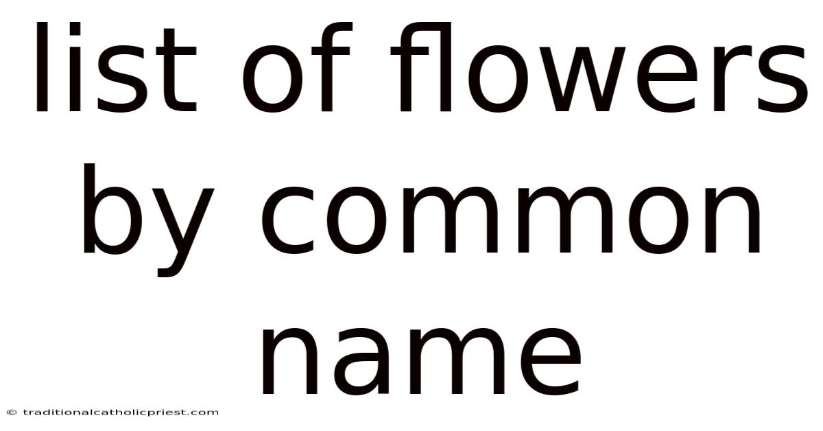 List Of Flowers By Common Name