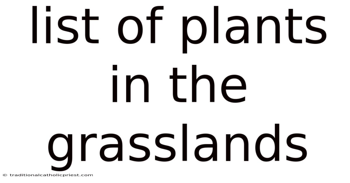 List Of Plants In The Grasslands
