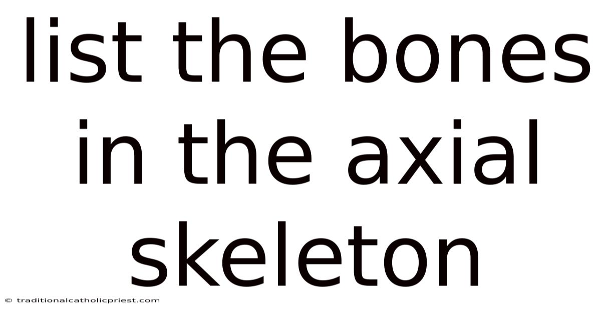 List The Bones In The Axial Skeleton