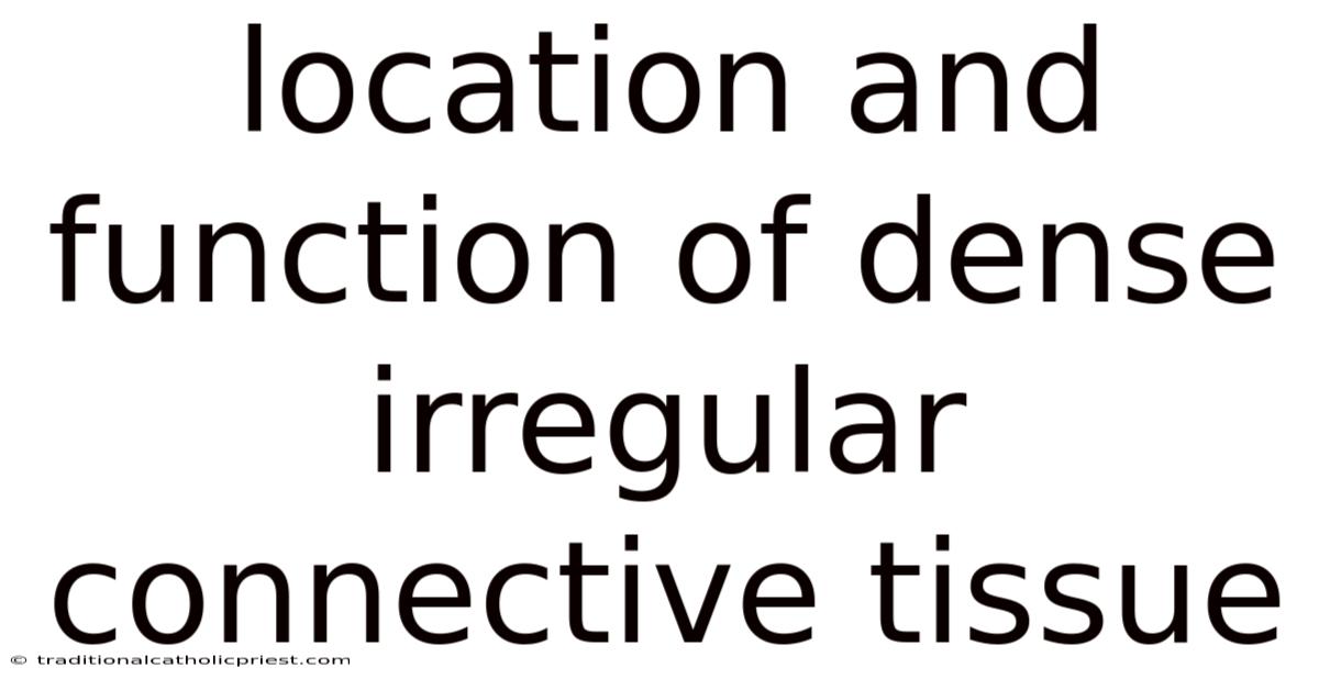 Location And Function Of Dense Irregular Connective Tissue