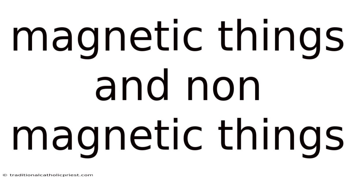 Magnetic Things And Non Magnetic Things