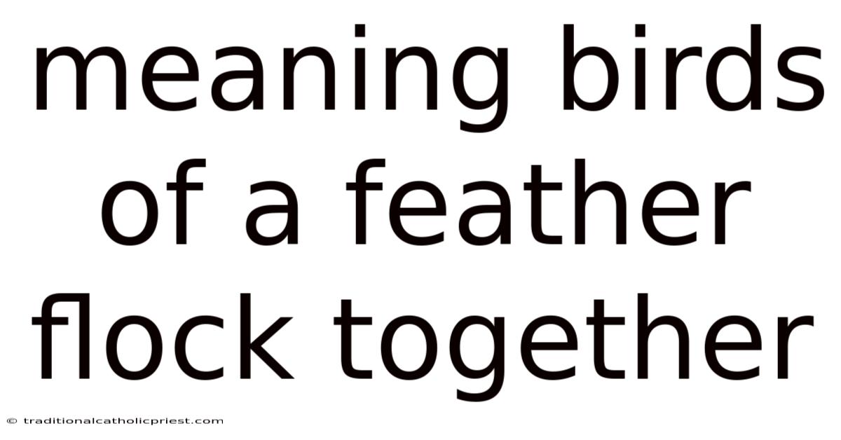 Meaning Birds Of A Feather Flock Together