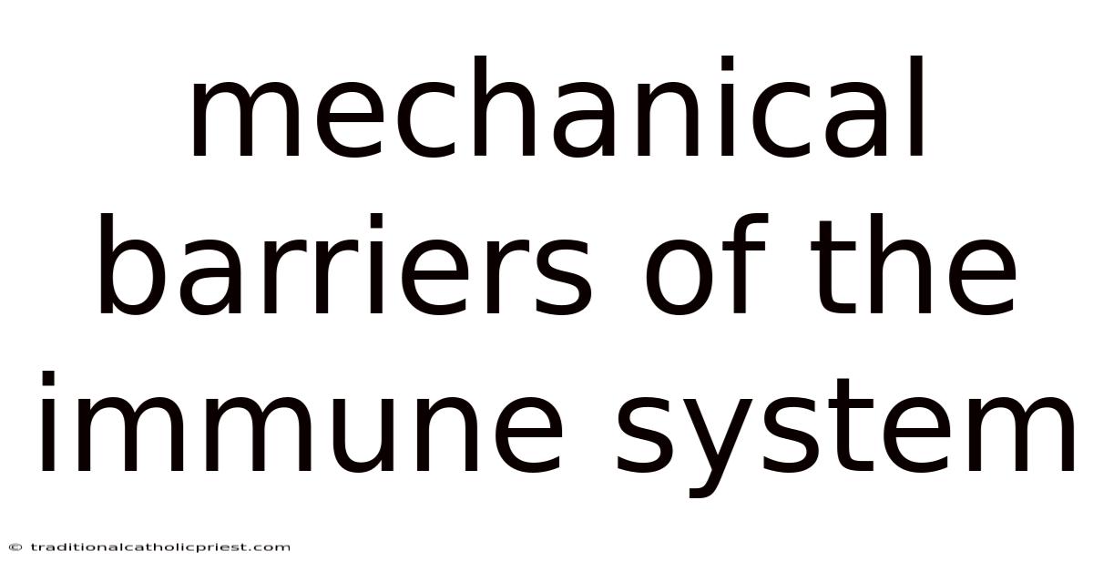 Mechanical Barriers Of The Immune System