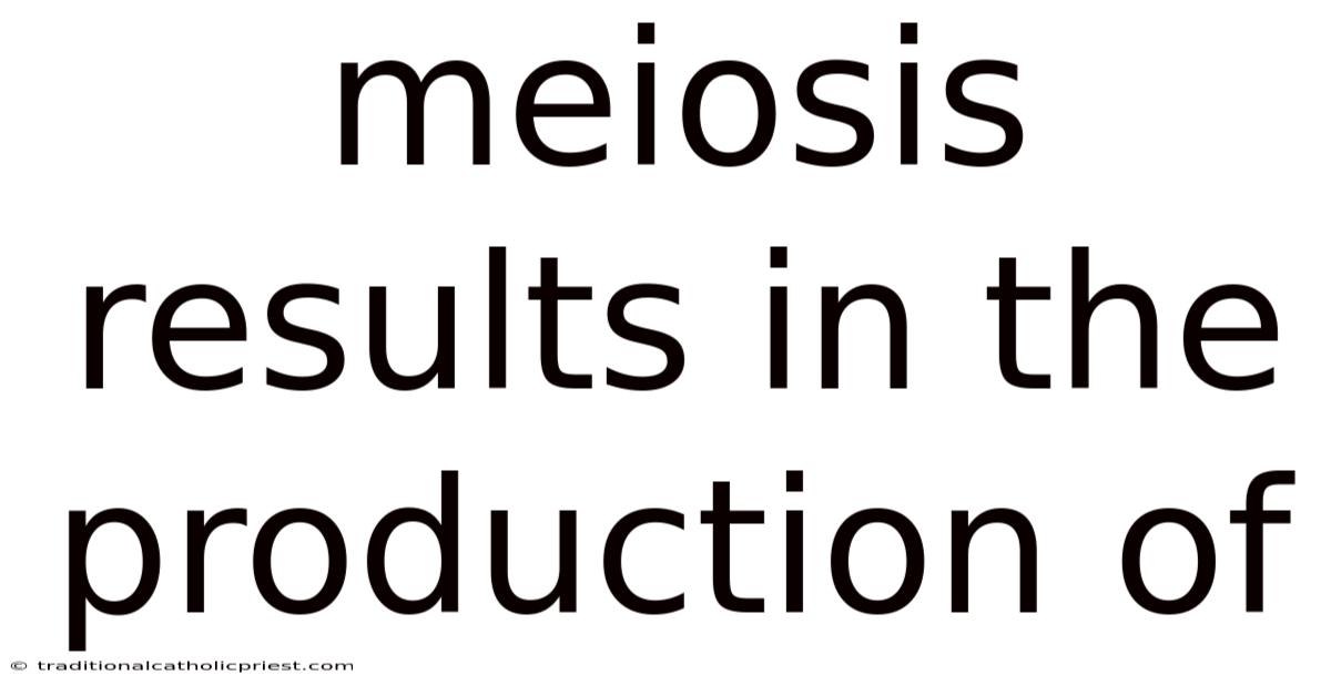 Meiosis Results In The Production Of
