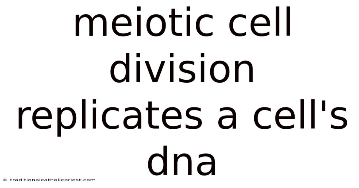 Meiotic Cell Division Replicates A Cell's Dna