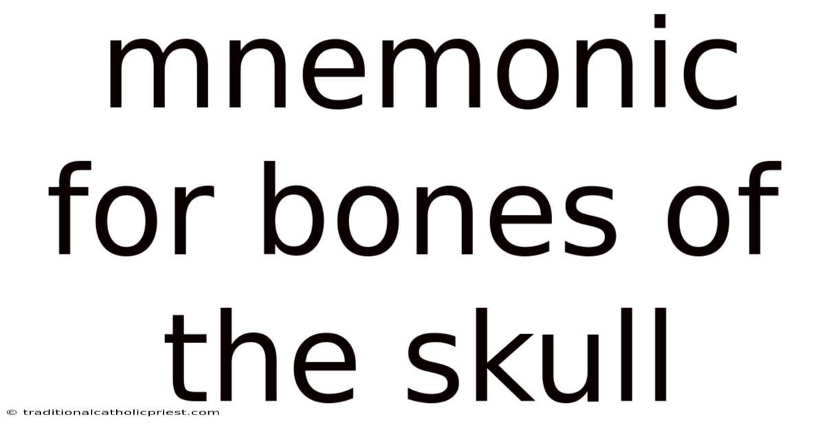 Mnemonic For Bones Of The Skull