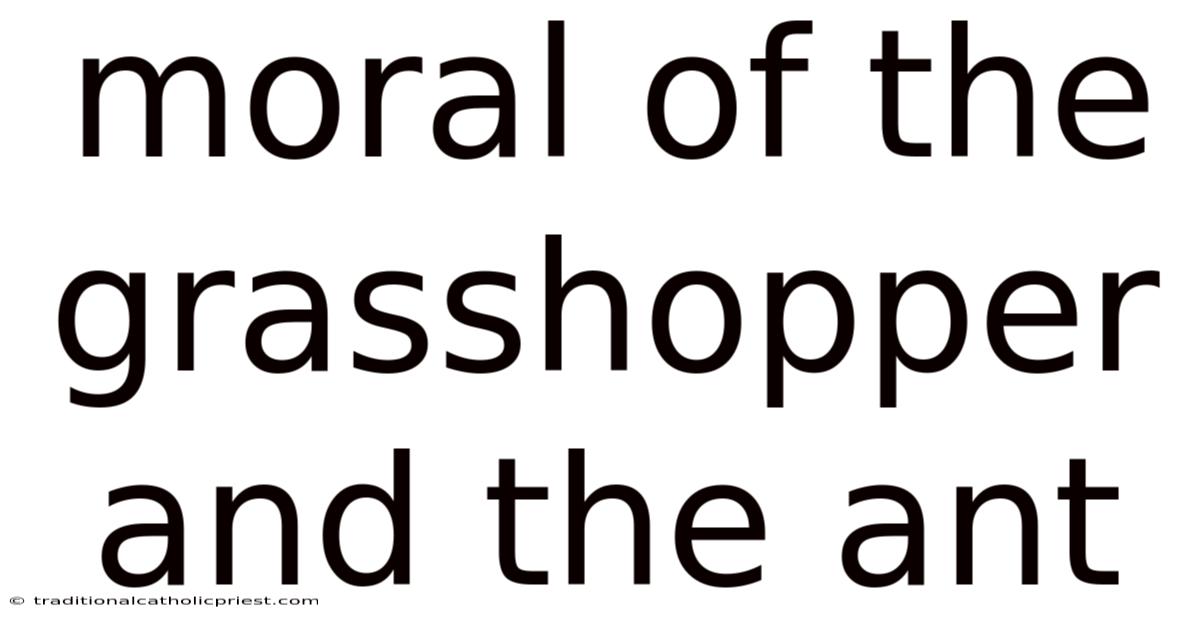Moral Of The Grasshopper And The Ant