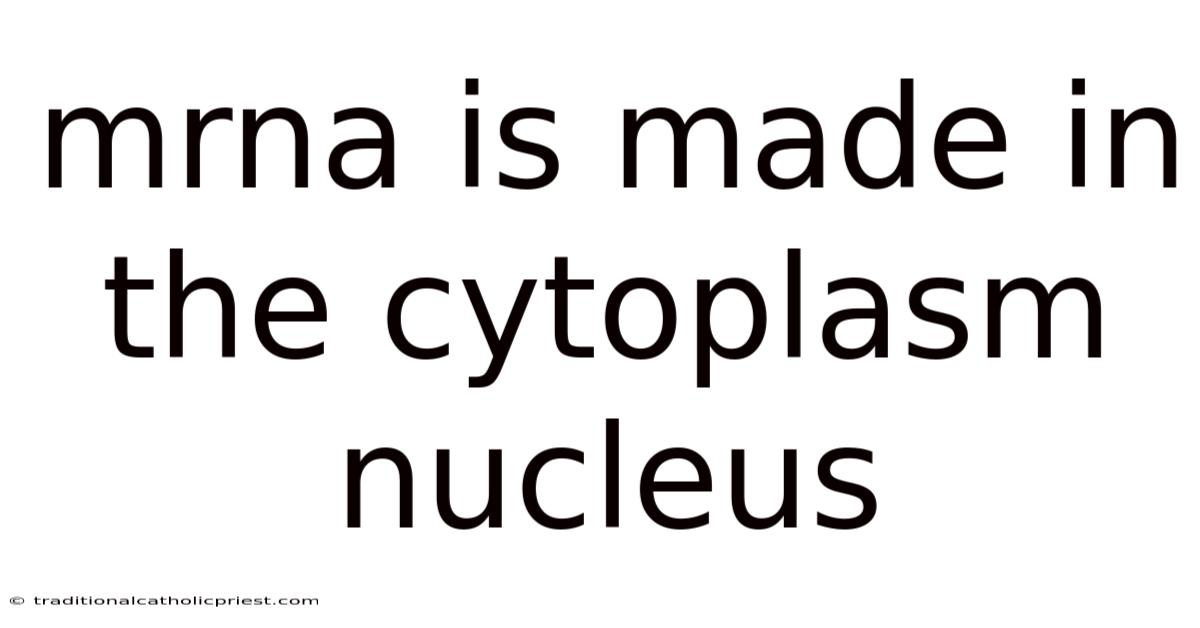 Mrna Is Made In The Cytoplasm Nucleus