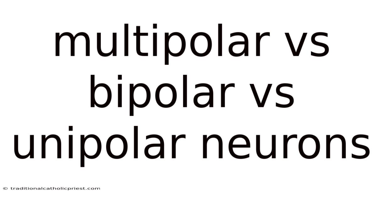 Multipolar Vs Bipolar Vs Unipolar Neurons