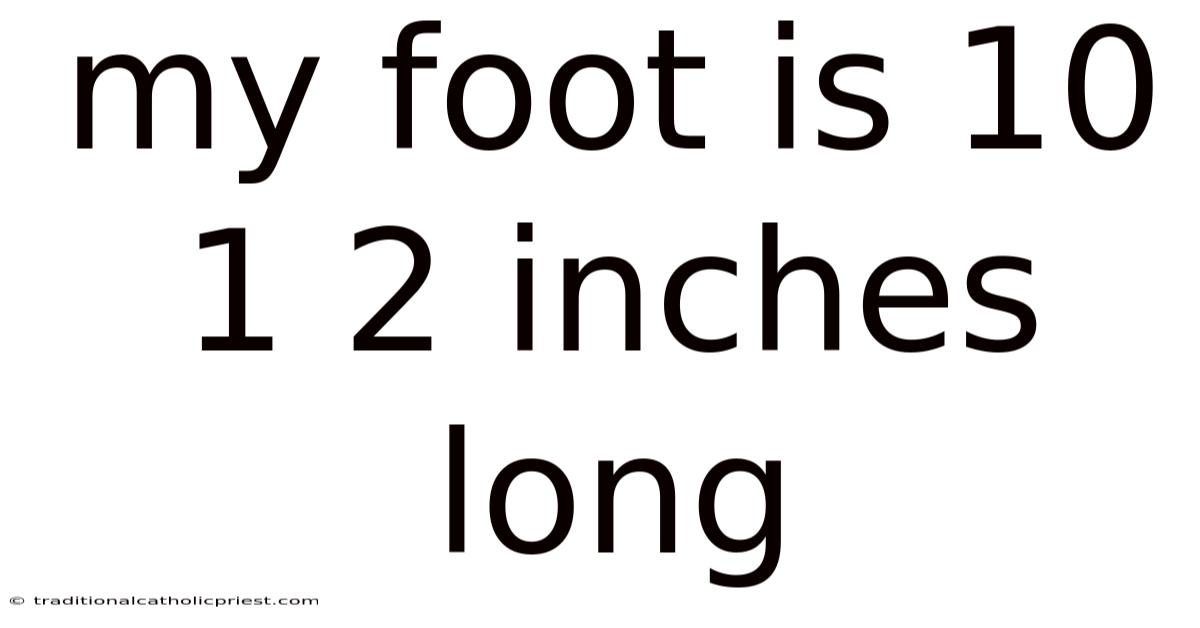 My Foot Is 10 1 2 Inches Long