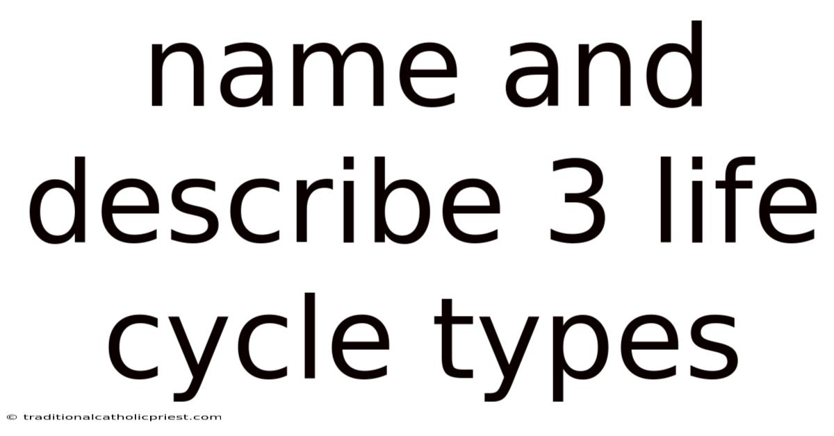 Name And Describe 3 Life Cycle Types