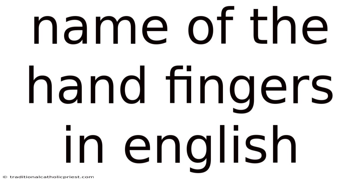 Name Of The Hand Fingers In English