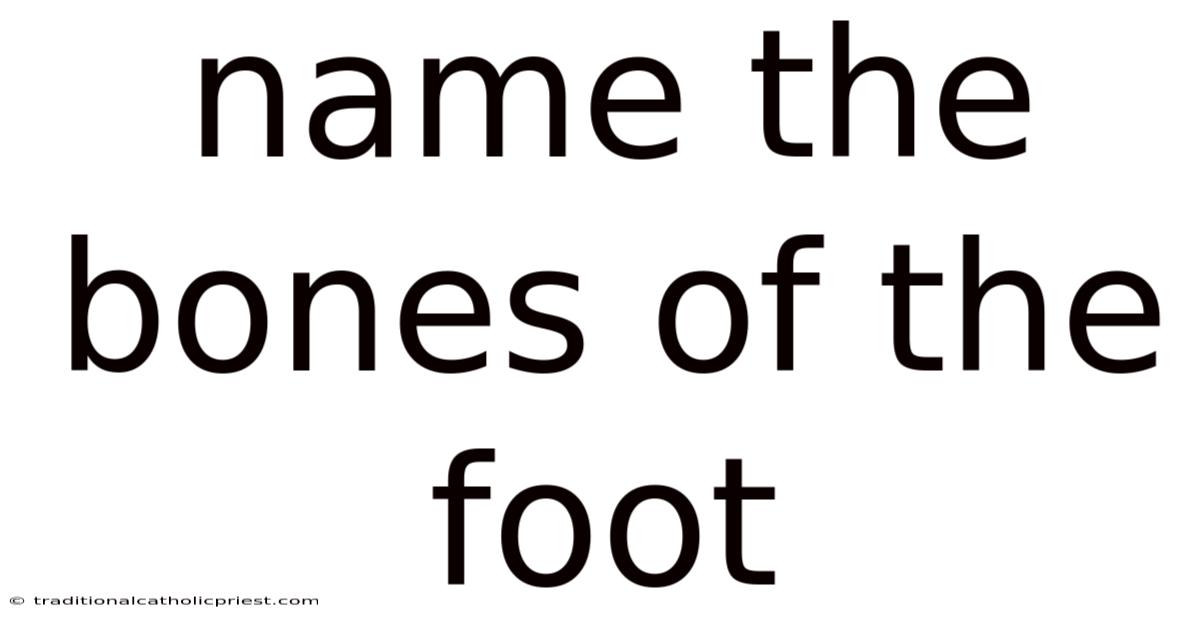Name The Bones Of The Foot