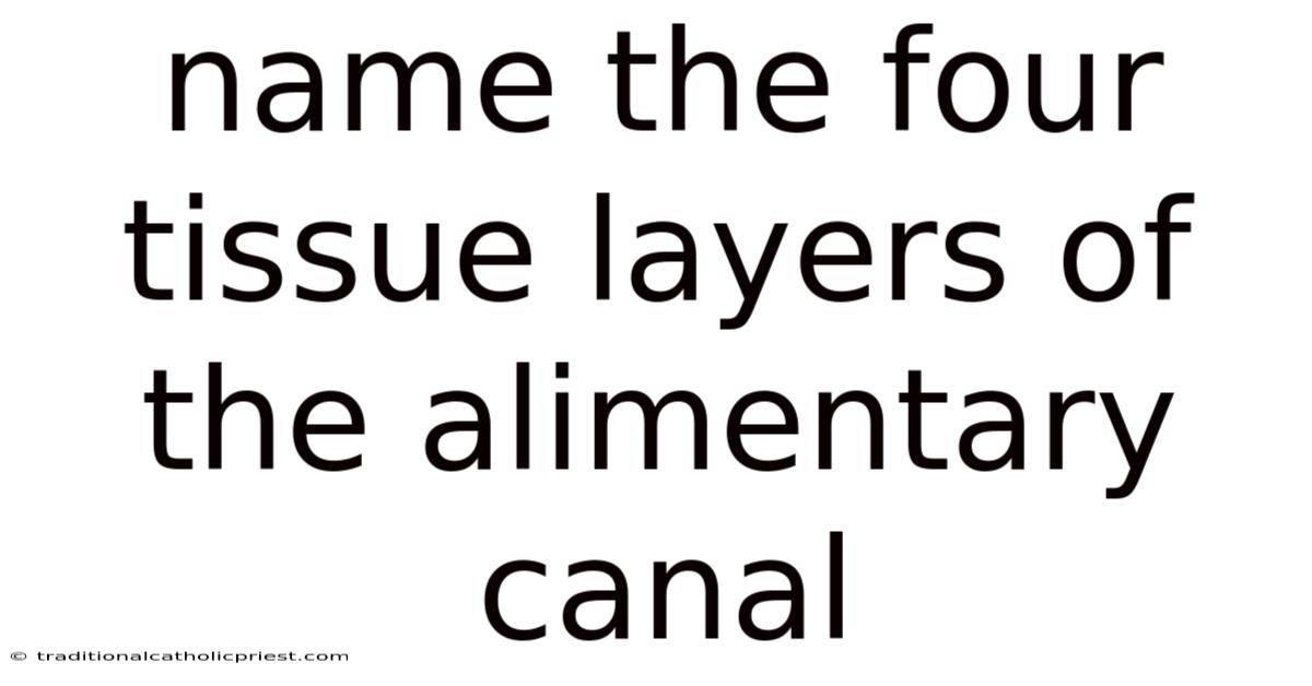 Name The Four Tissue Layers Of The Alimentary Canal