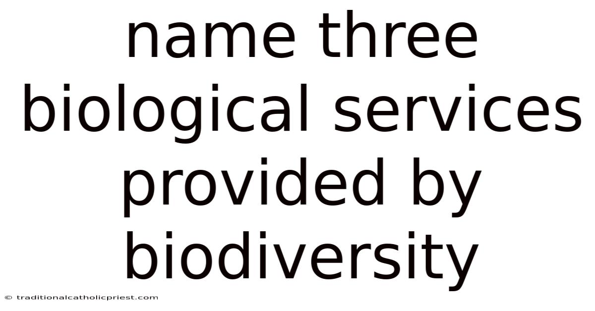 Name Three Biological Services Provided By Biodiversity