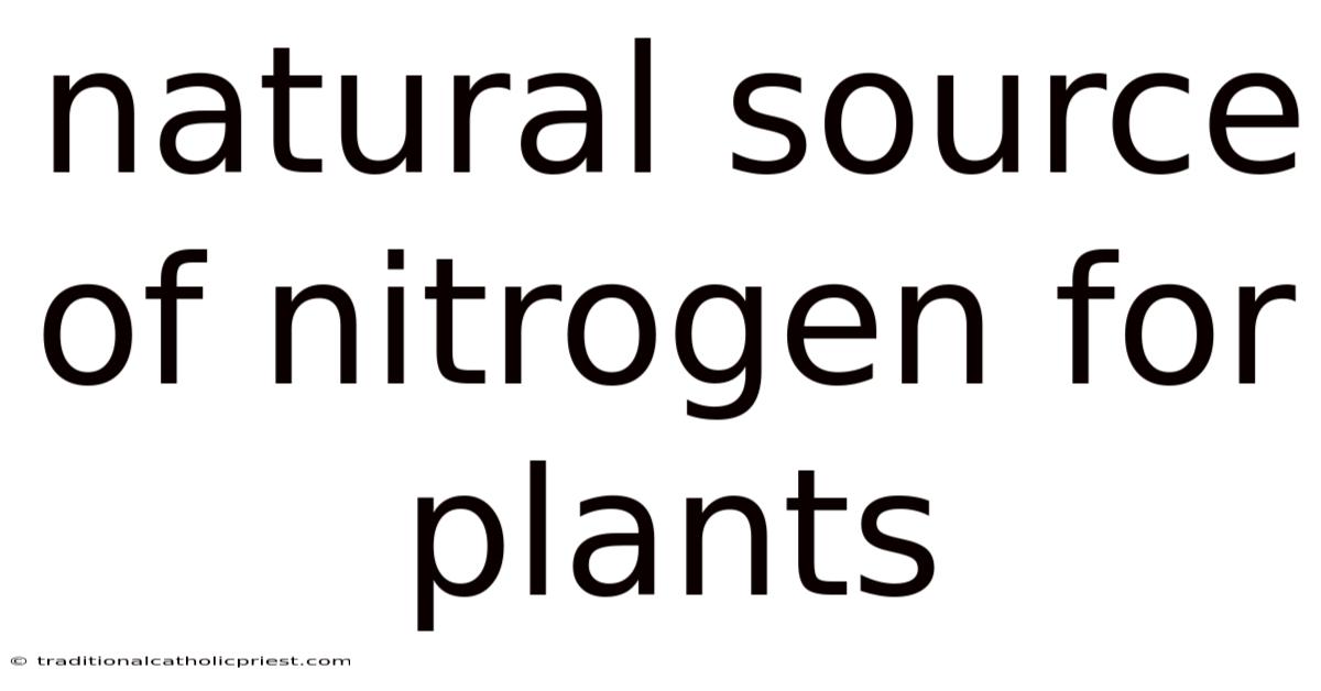 Natural Source Of Nitrogen For Plants