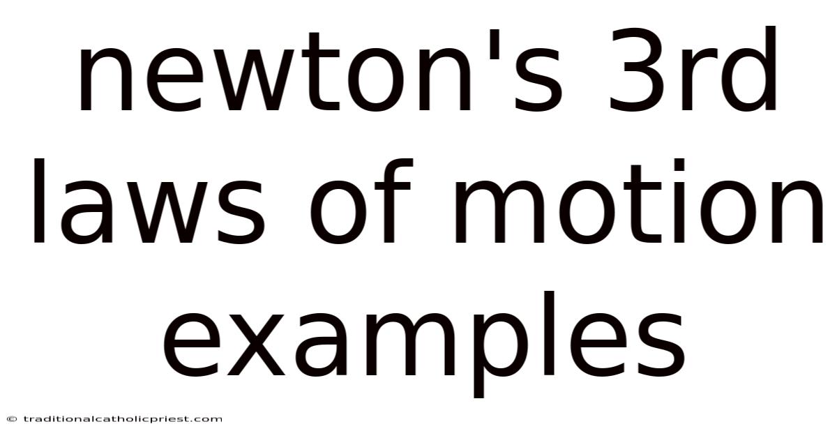 Newton's 3rd Laws Of Motion Examples