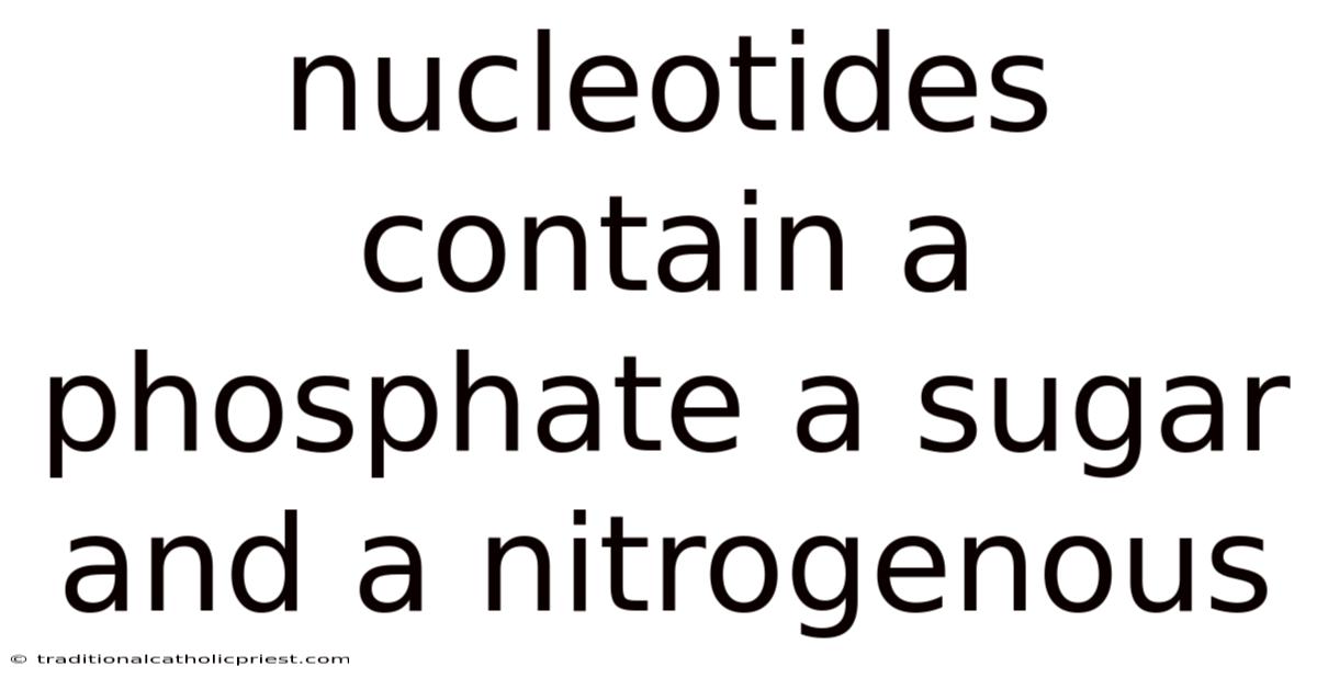 Nucleotides Contain A Phosphate A Sugar And A Nitrogenous