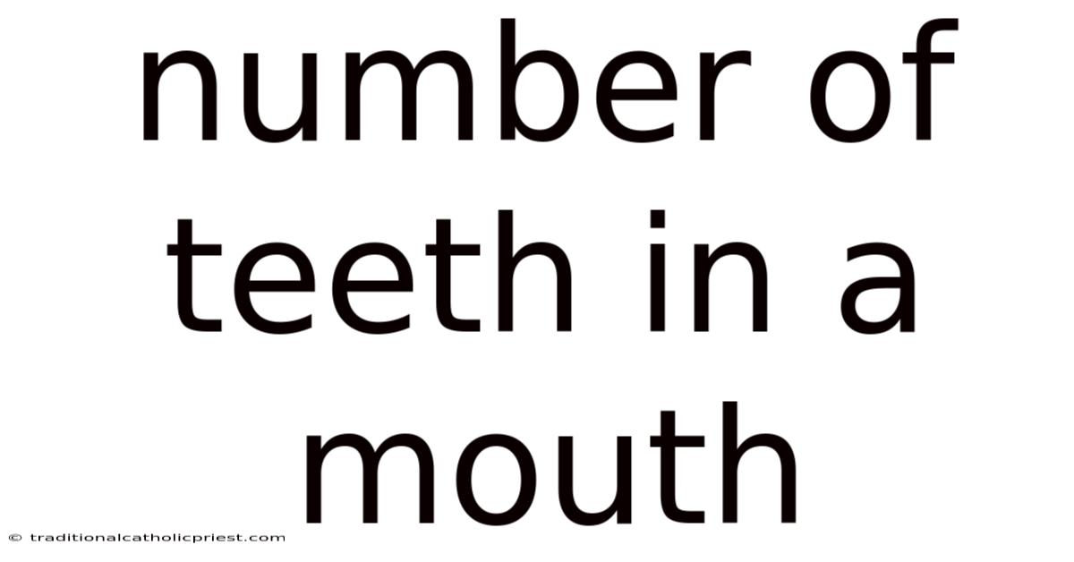 Number Of Teeth In A Mouth