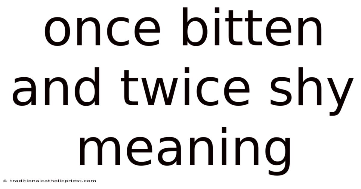 Once Bitten And Twice Shy Meaning