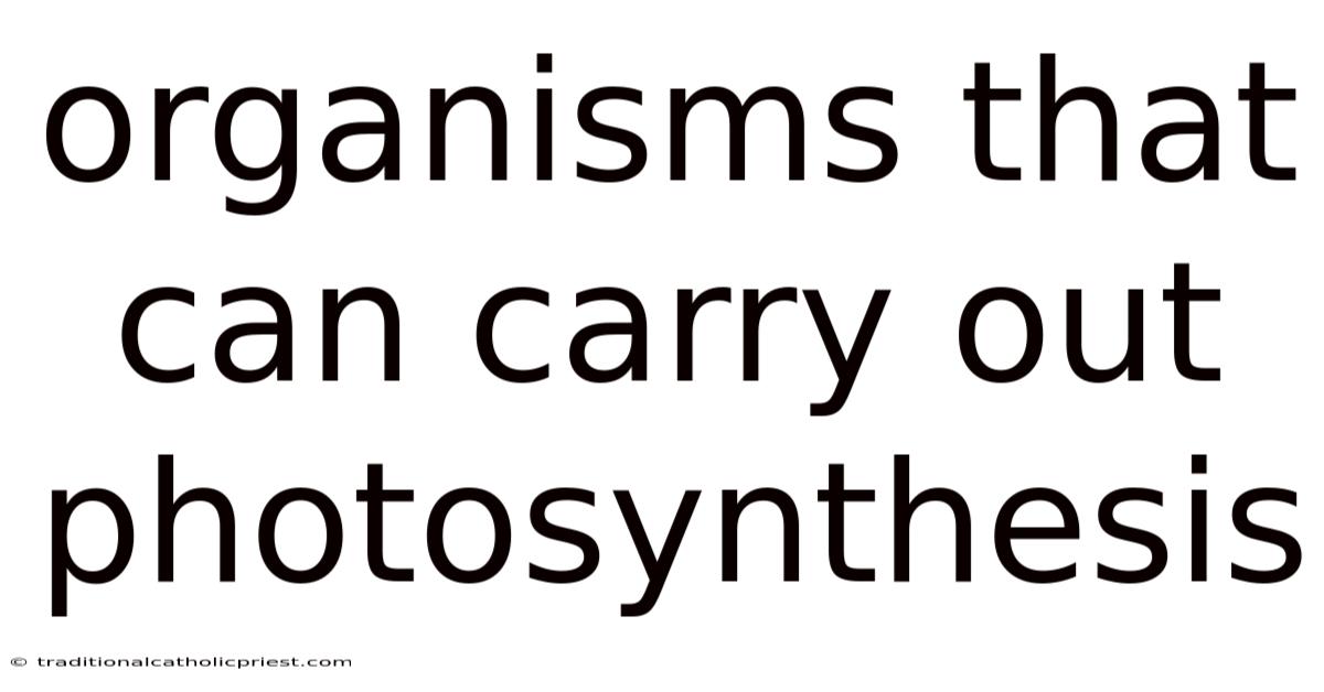 Organisms That Can Carry Out Photosynthesis