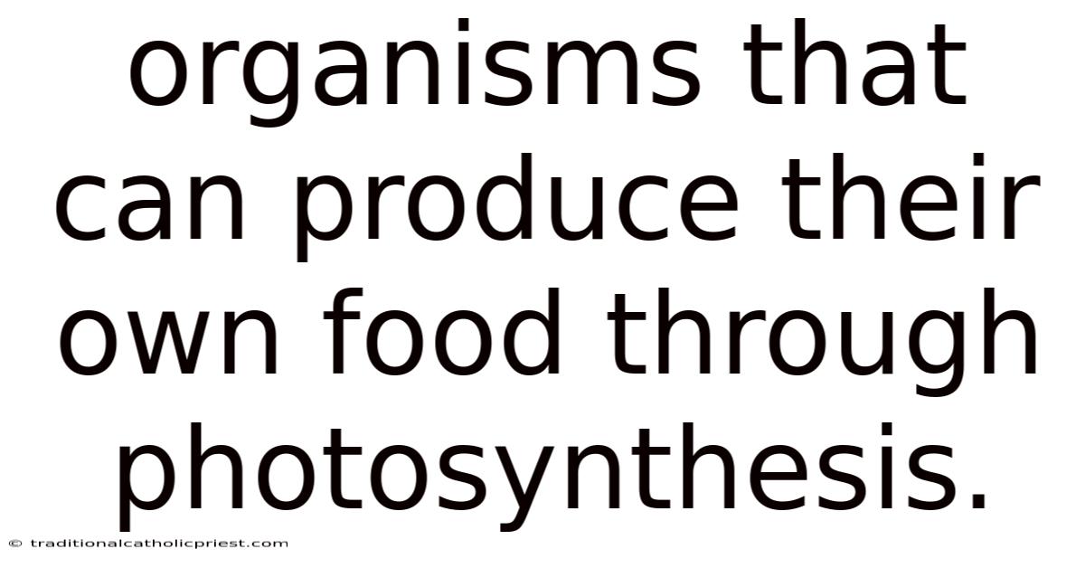 Organisms That Can Produce Their Own Food Through Photosynthesis.
