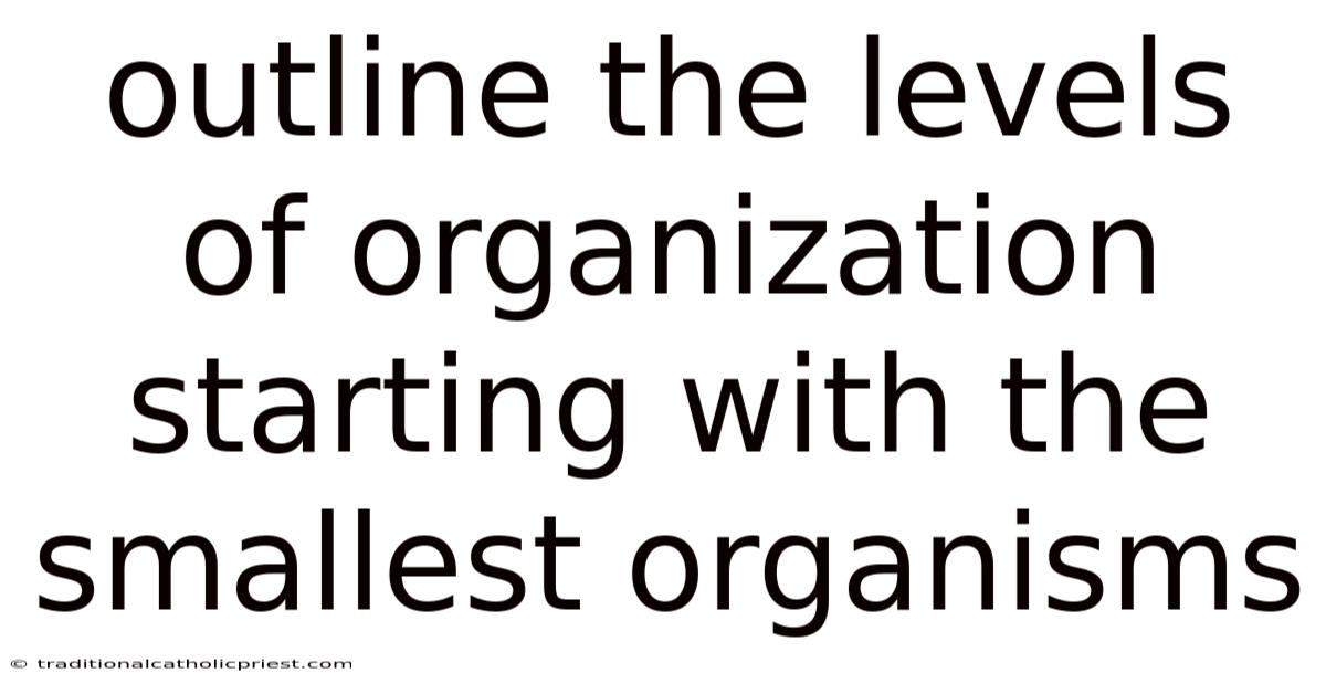 Outline The Levels Of Organization Starting With The Smallest Organisms