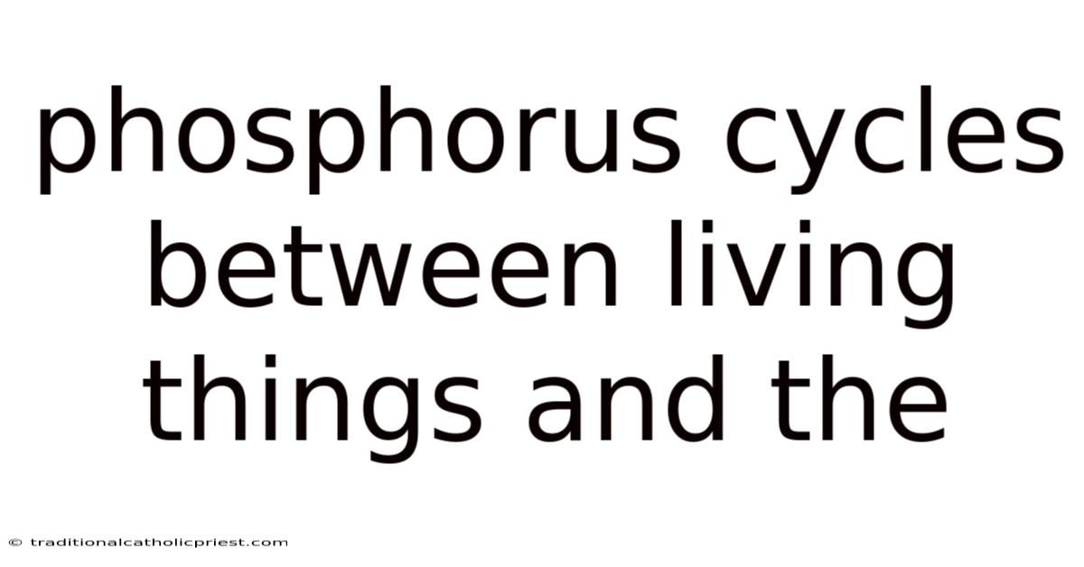 Phosphorus Cycles Between Living Things And The