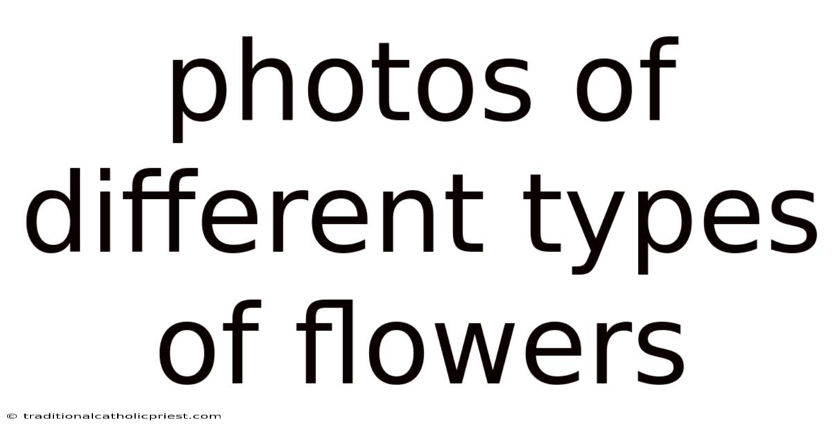 Photos Of Different Types Of Flowers