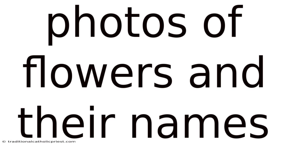 Photos Of Flowers And Their Names