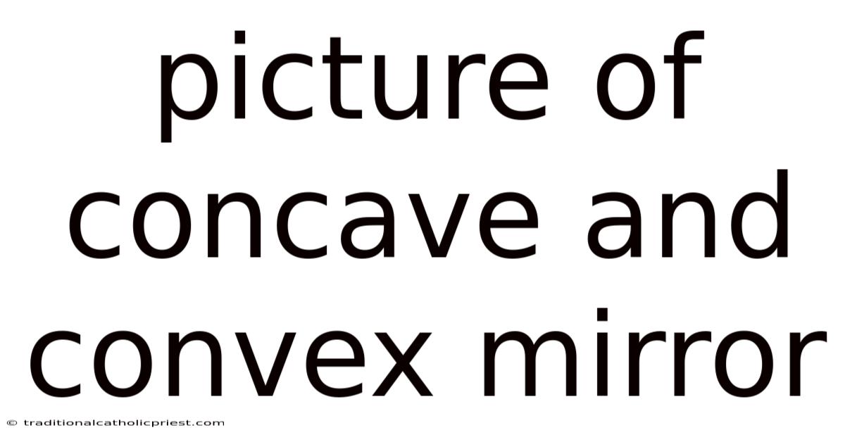 Picture Of Concave And Convex Mirror