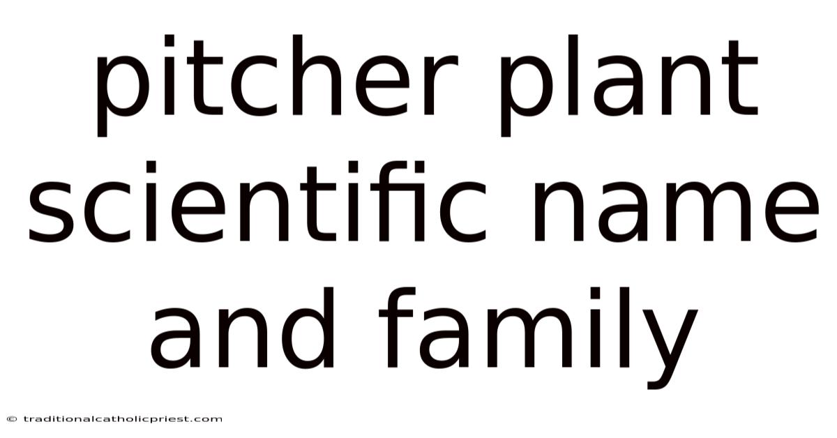 Pitcher Plant Scientific Name And Family