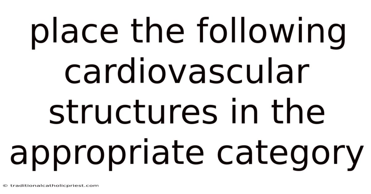 Place The Following Cardiovascular Structures In The Appropriate Category
