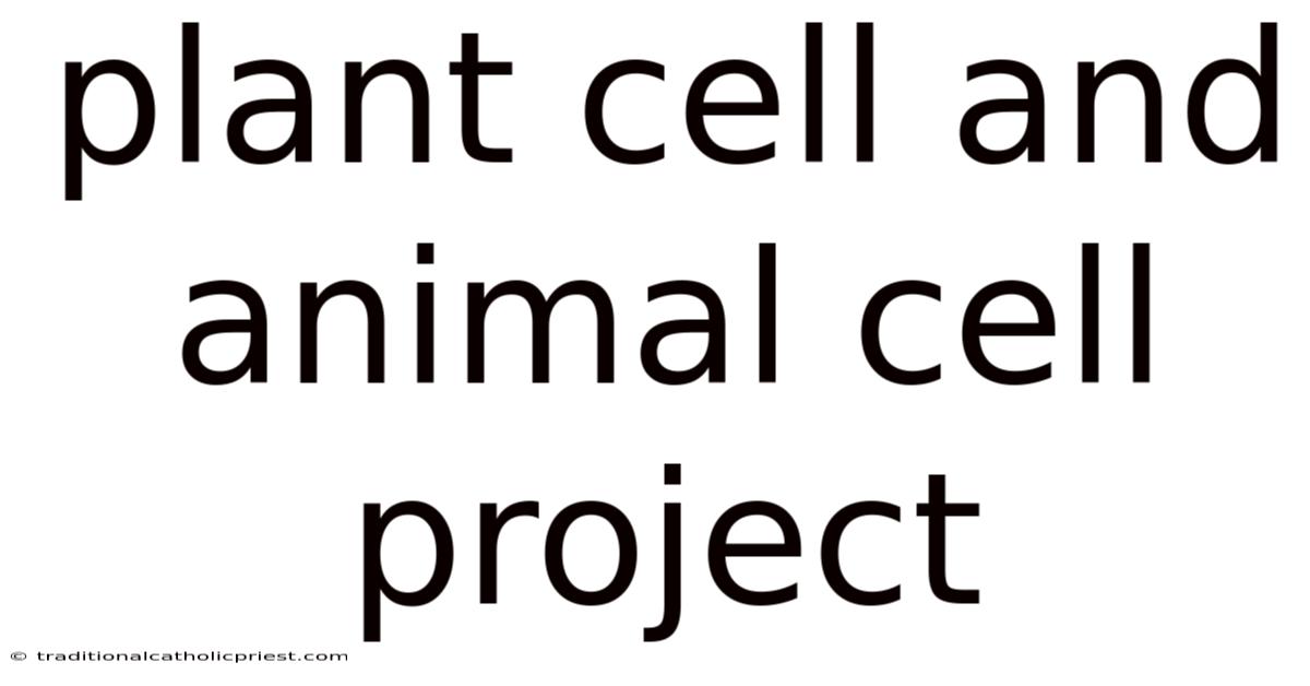 Plant Cell And Animal Cell Project