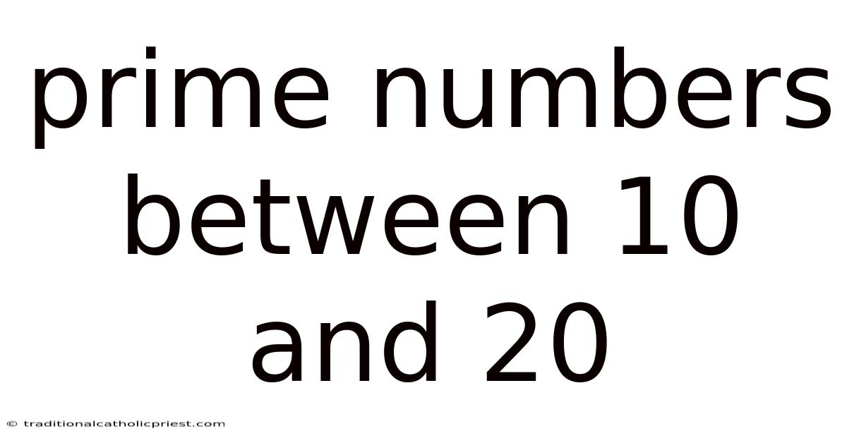 Prime Numbers Between 10 And 20