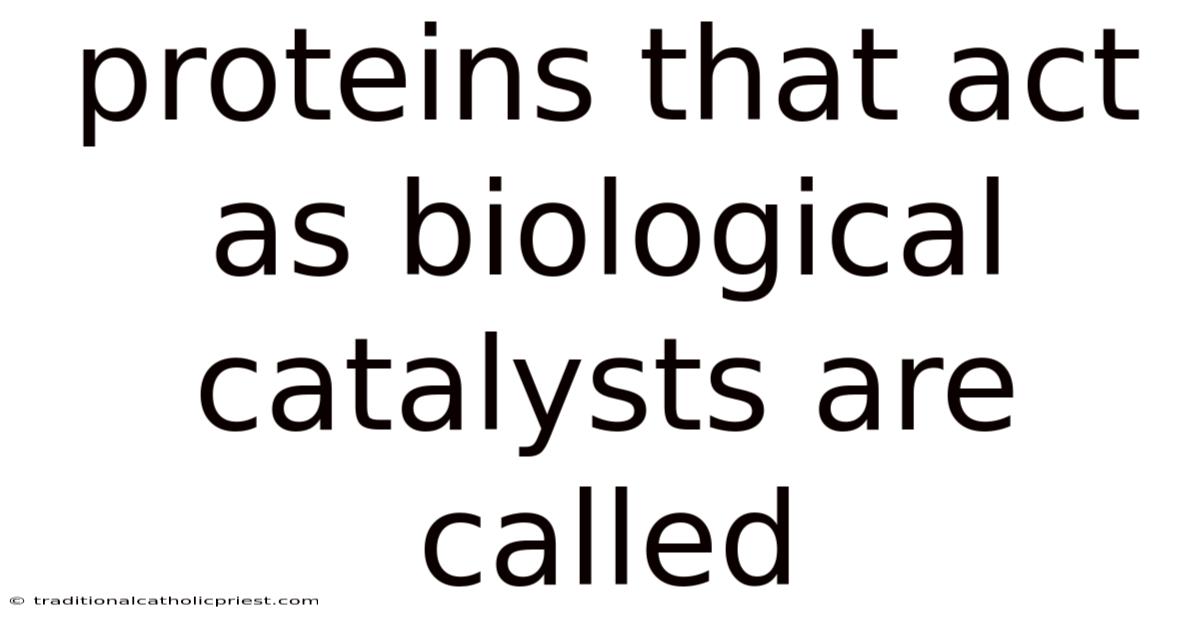 Proteins That Act As Biological Catalysts Are Called