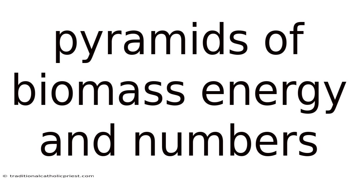 Pyramids Of Biomass Energy And Numbers