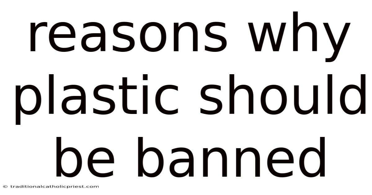 Reasons Why Plastic Should Be Banned